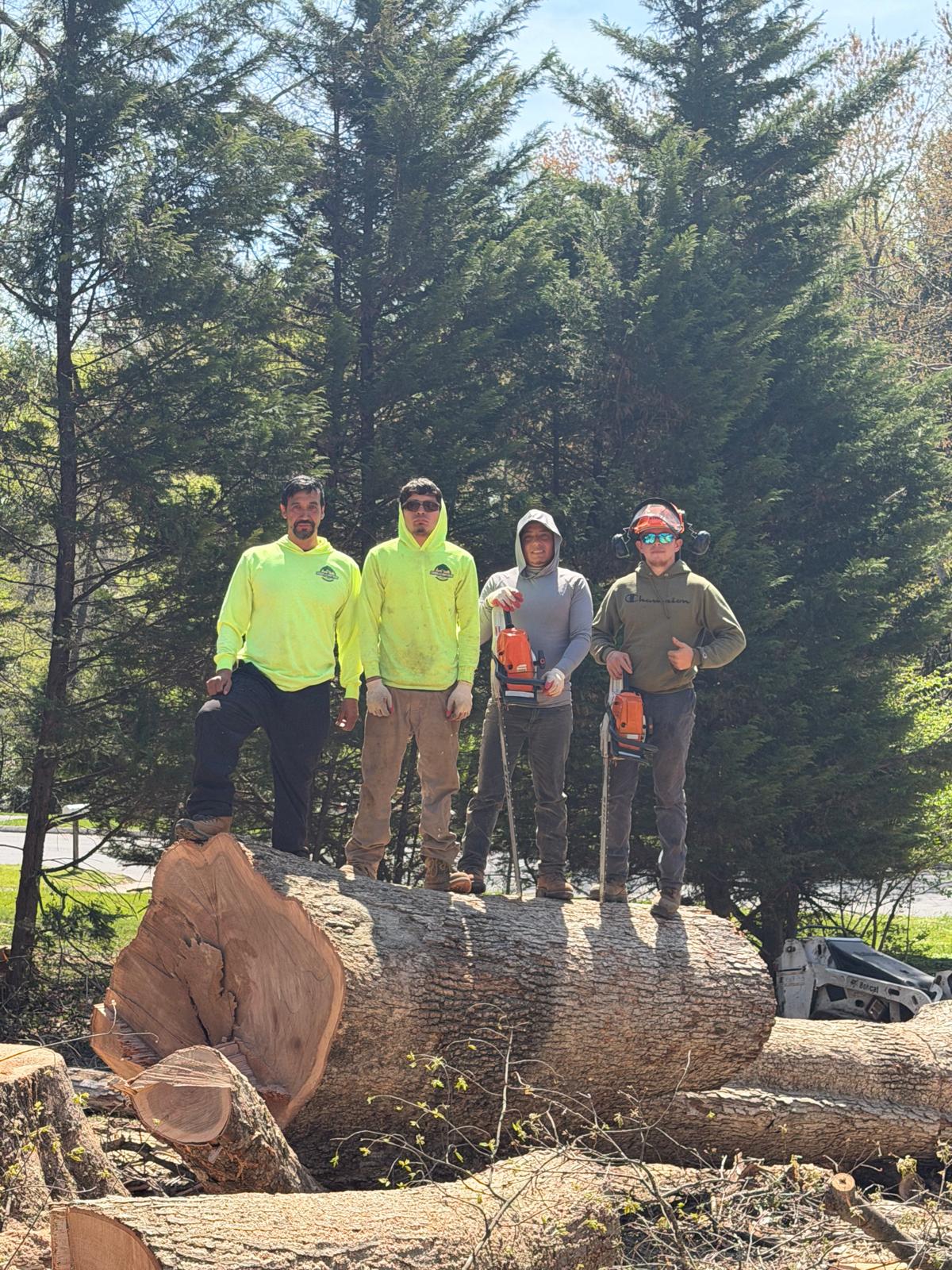Carballo Brothers Tree Service crew 1